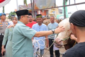 Polda Lampung Kurban 44 Sapi dan Kambing Di Hari Raya Idul Adha 2024