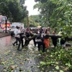 Polisi Bantu Evakuasi Sejumlah Pohon Tumbang di Bandar Lampung 